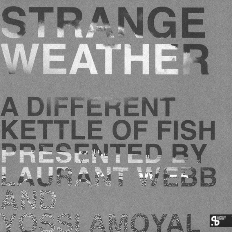 Various Artists Strange Weather (A Different Kettle Of Fish)