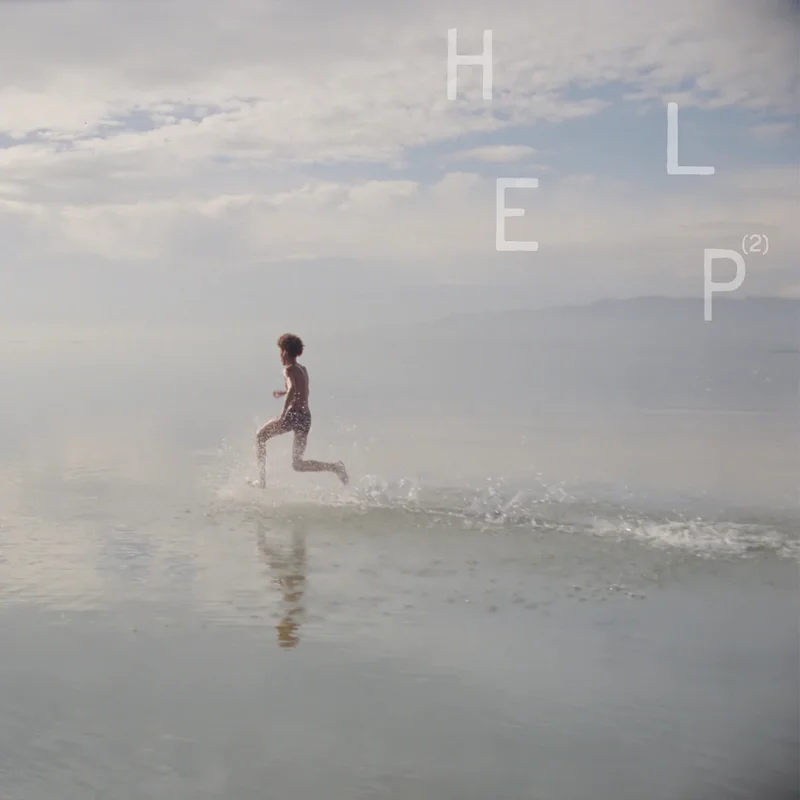 Various Help (2xLP)