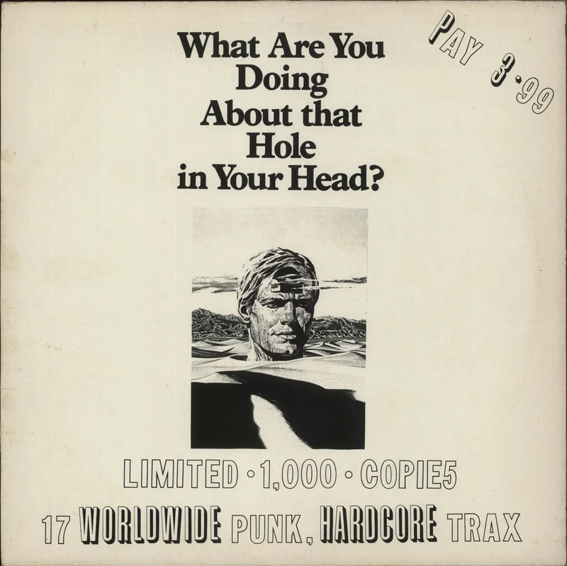Various-Punk & New Wave What Are You Doing About That Hole In Your Head? UK Vinyl LP