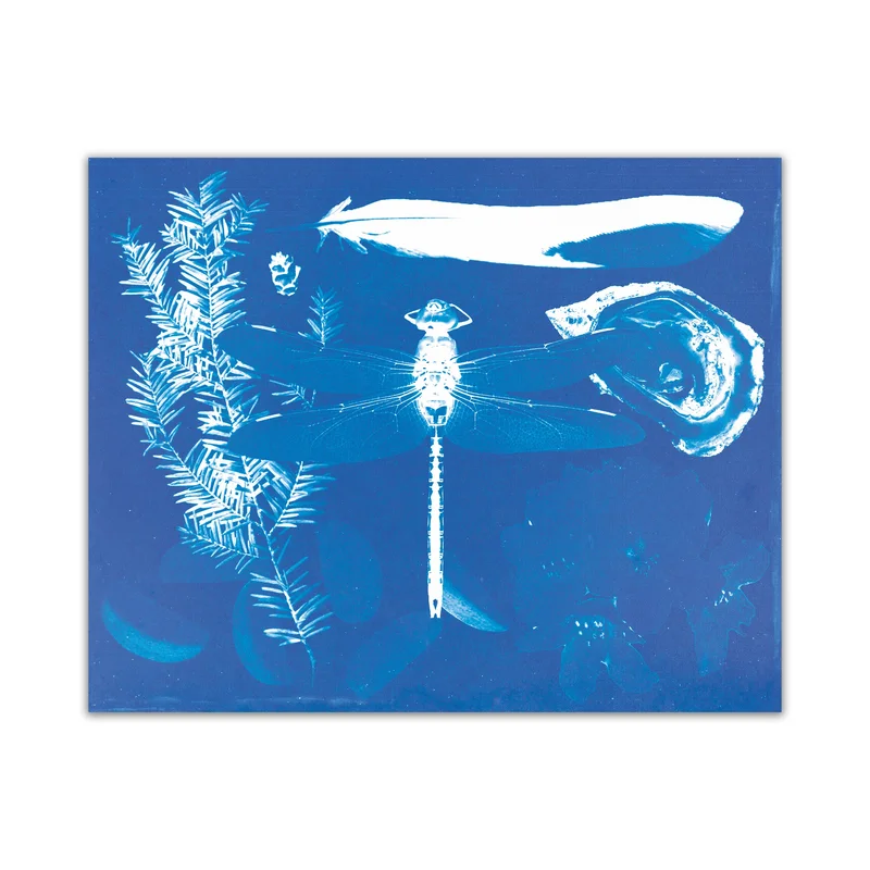 WA Cyanotype Print