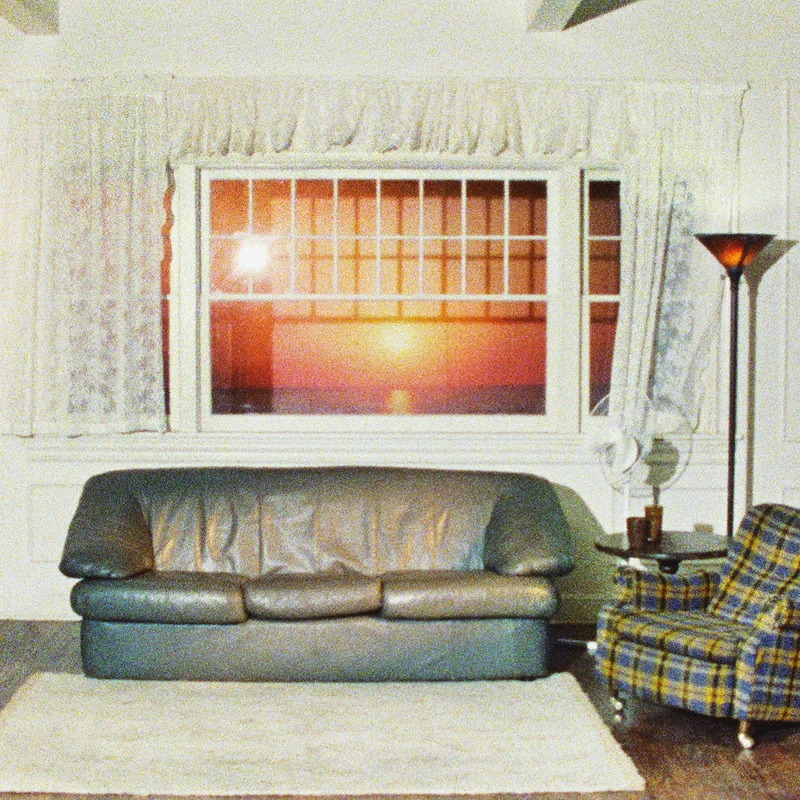 Wallows  Model (Clear)