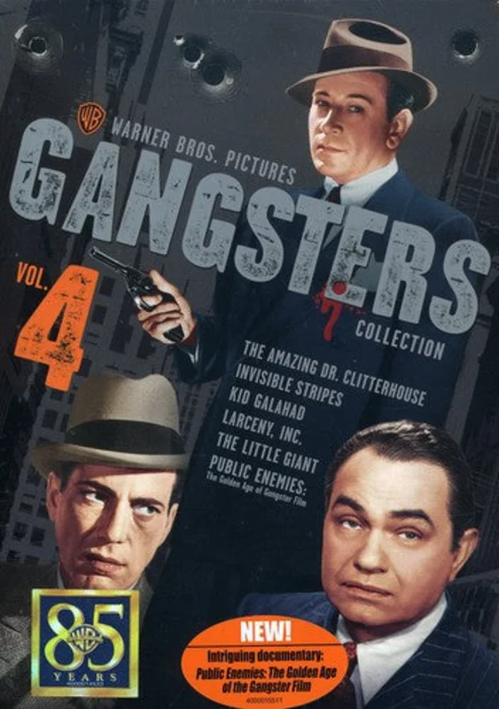 WARNER GANGSTERS: VOLUME 4 (6 DVD) - DVD