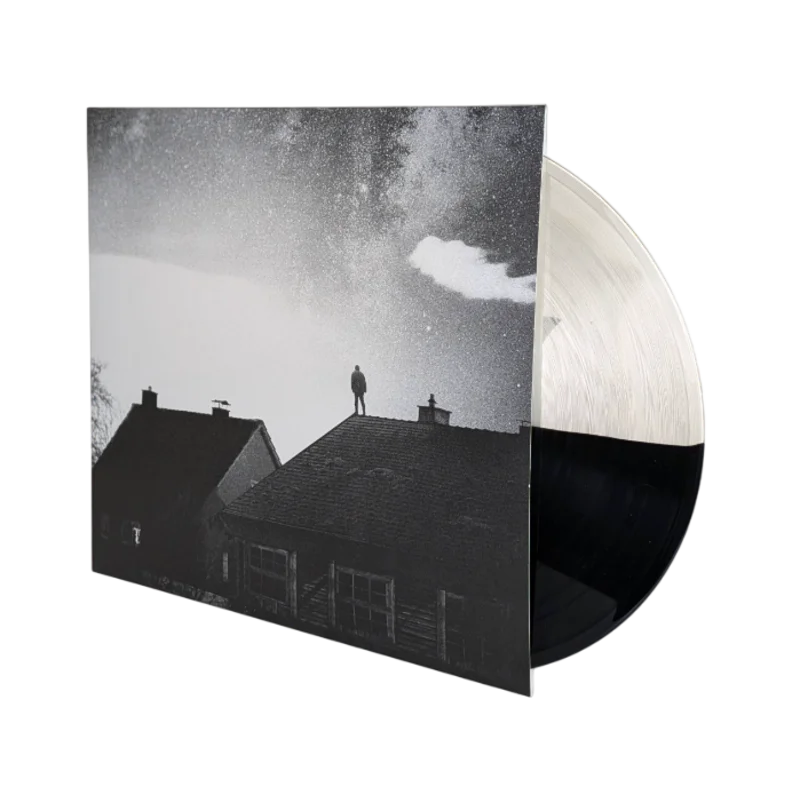 we.own.the.sky  In Your Absence [LP]