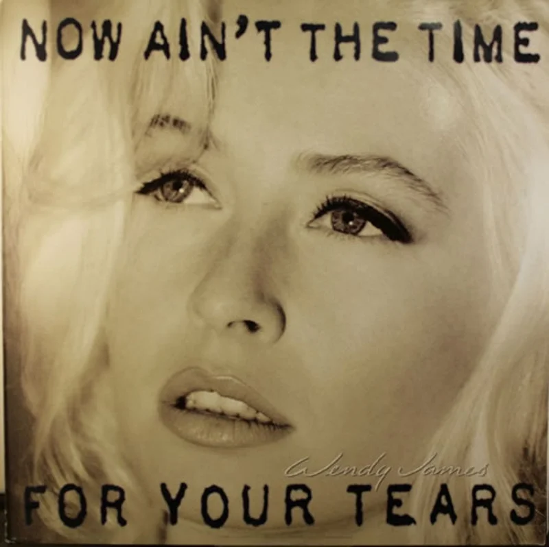 Wendy James Now Ain't The Time For Your Tears UK Vinyl LP