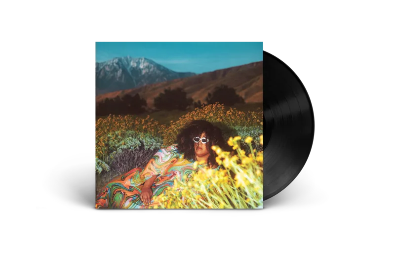 What Now: Vinyl LP