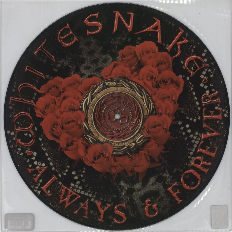 Whitesnake Always & Forever Italian 12" picture disc