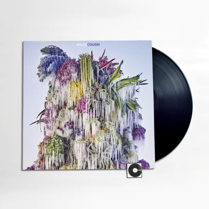 Wilco - "Cousin"