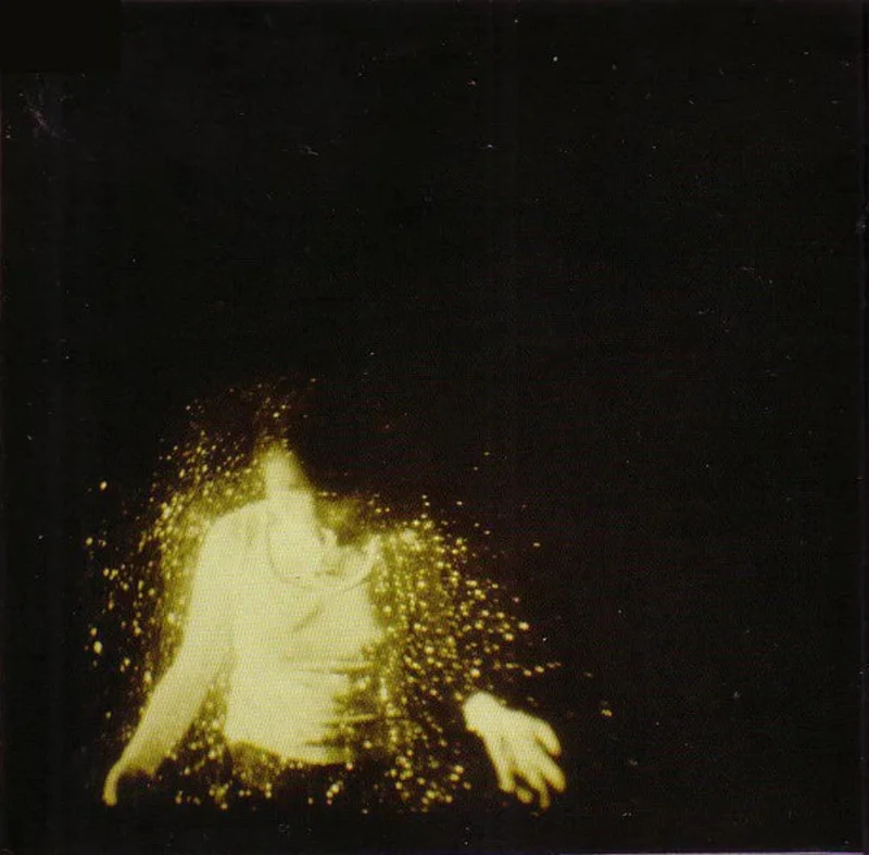 Wolf Alice  My Love Is Cool (2-LP)