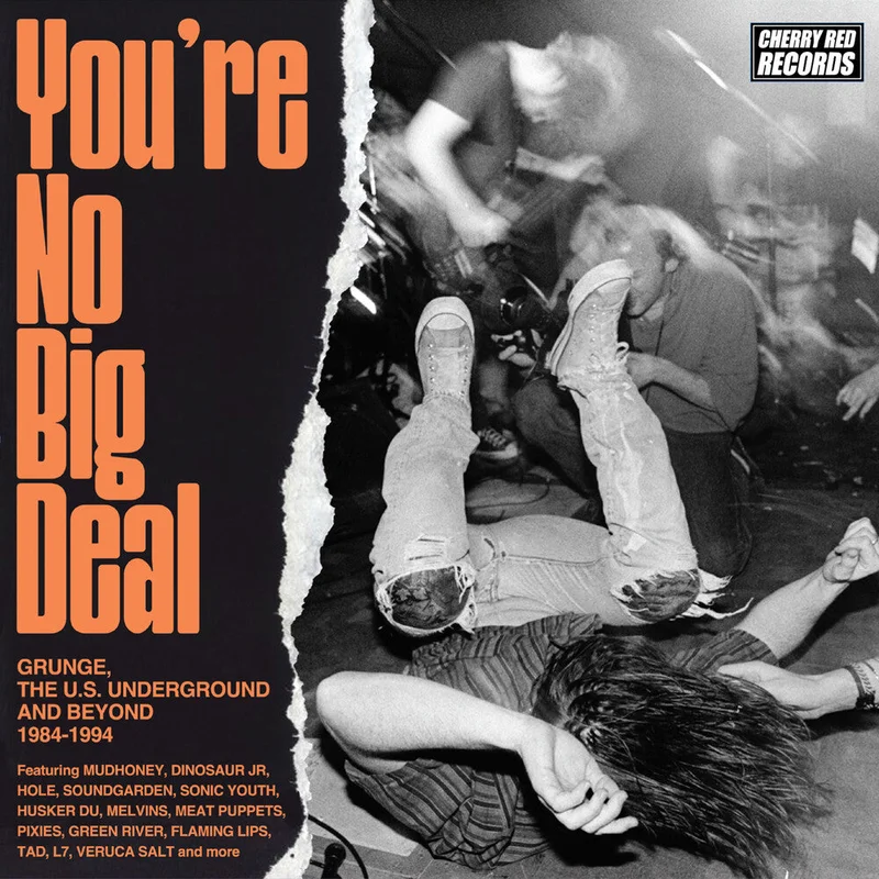 You're No Big Deal: Grunge Us Underground & Beyond - You're No Big Deal: Grunge Us Underground & Beyond [CD]