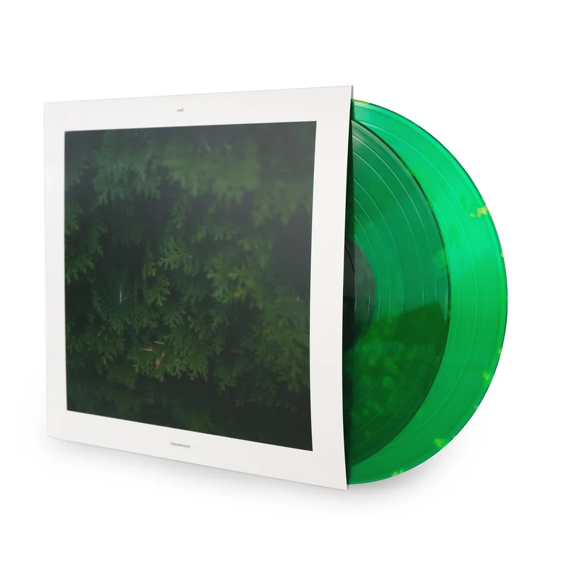 zak  Remembrance [2xLP]