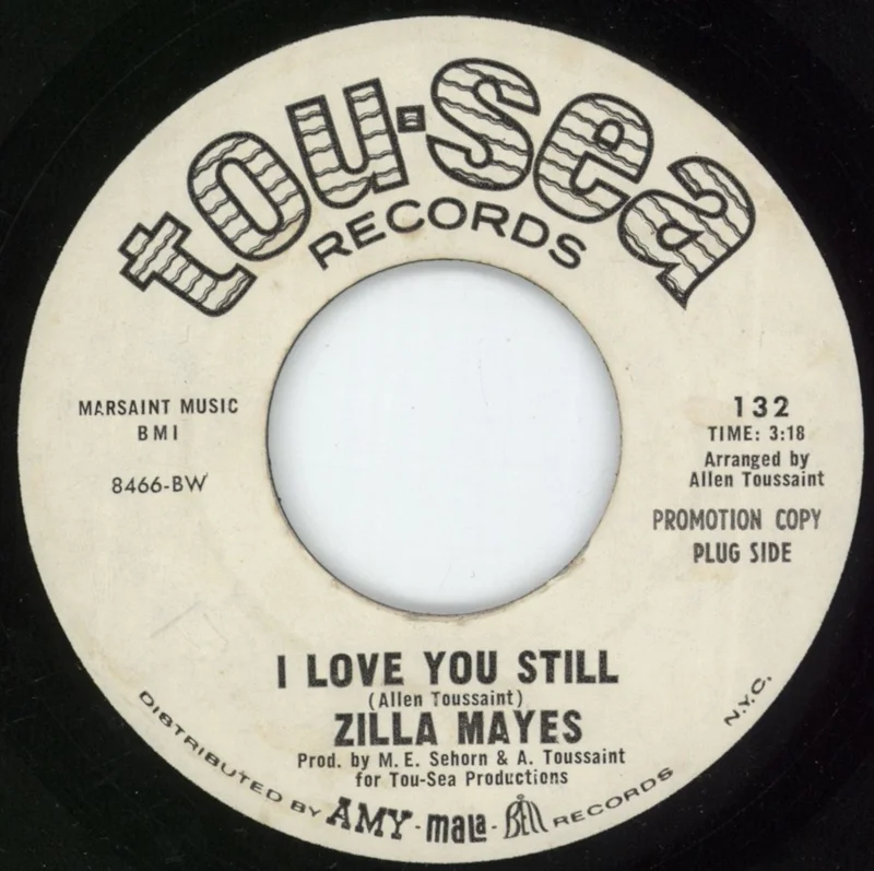 Zilla Mayes I Love You Still / All I Want Is You US Promo 7" vinyl